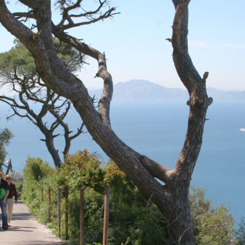 People Walking Up The Rock On Road With Trees Looking Out To Morocco