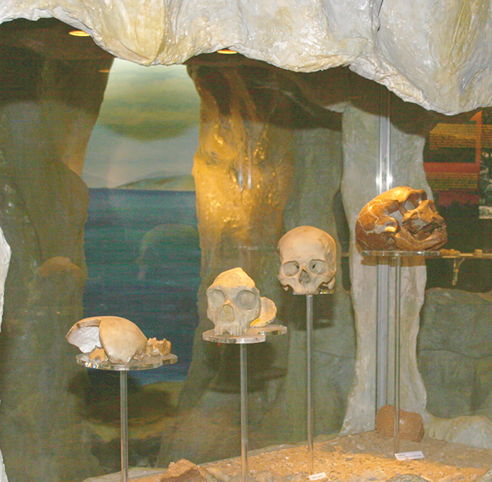 Gibraltar Museum