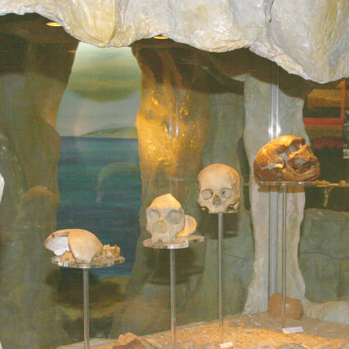Gibraltar Museum